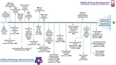 Looking for Novelty in an “Old” Receptor: Recent Advances Toward Our Understanding of GABAARs and Their Implications in Receptor Pharmacology